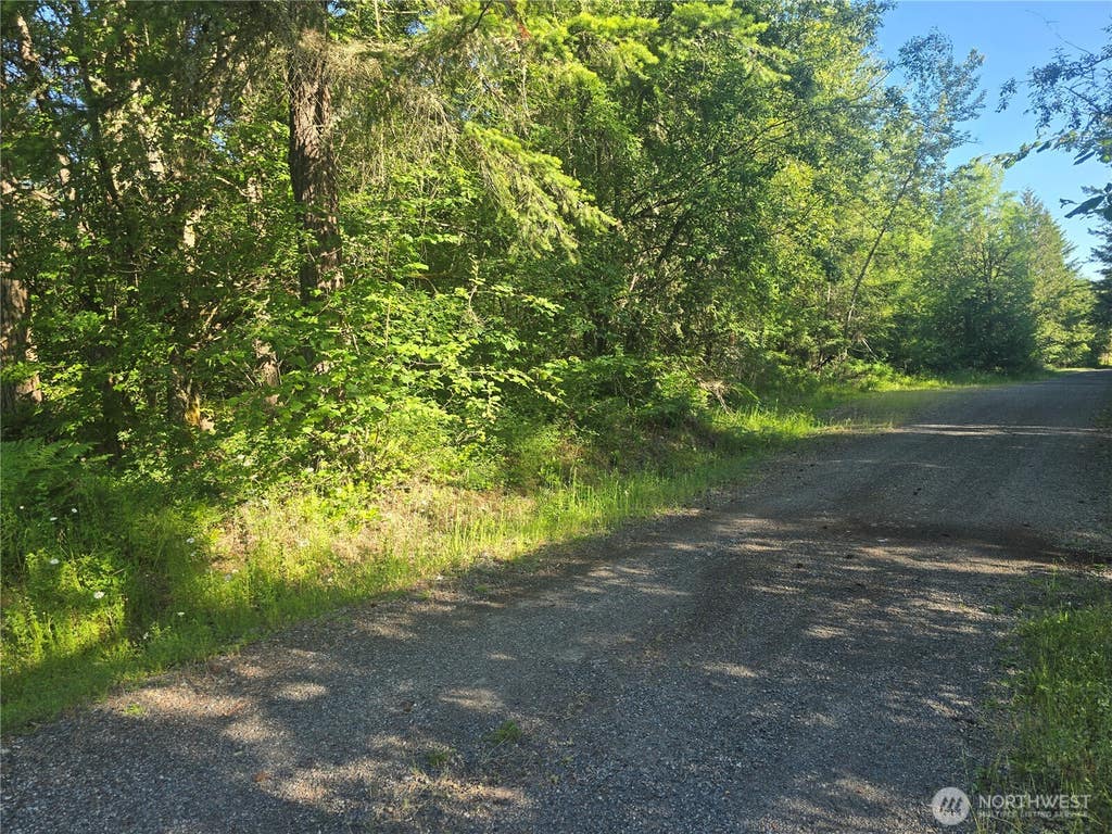 Photo of 13811 Starflower Lane SE, Yelm, WA 98597 (MLS # 2540311)
