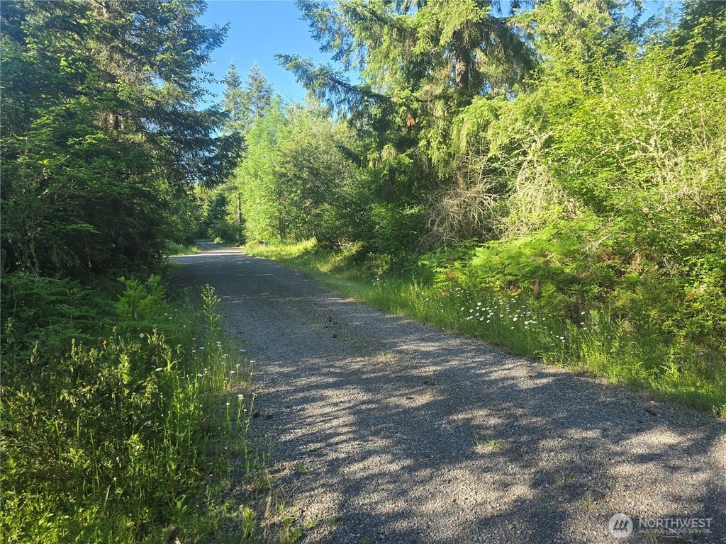 Photo of 13811 Starflower Lane SE, Yelm, WA 98597 (MLS # 2540311)