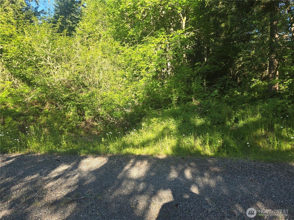 Photo of 13811 Starflower Lane SE, Yelm, WA 98597 (MLS # 2540311)