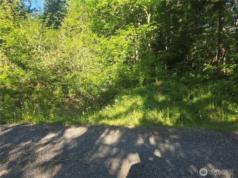 Photo of 13811 Starflower Lane SE, Yelm, WA 98597 (MLS # 2540311)