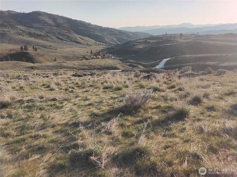 0 McLoughlin Canyon Road Tonasket WA 98855