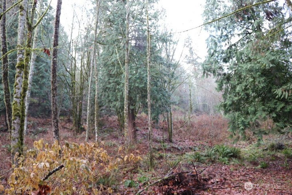 Photo of 18700 SE 64TH Way, Issaquah, WA 98027 (MLS # 2492179)