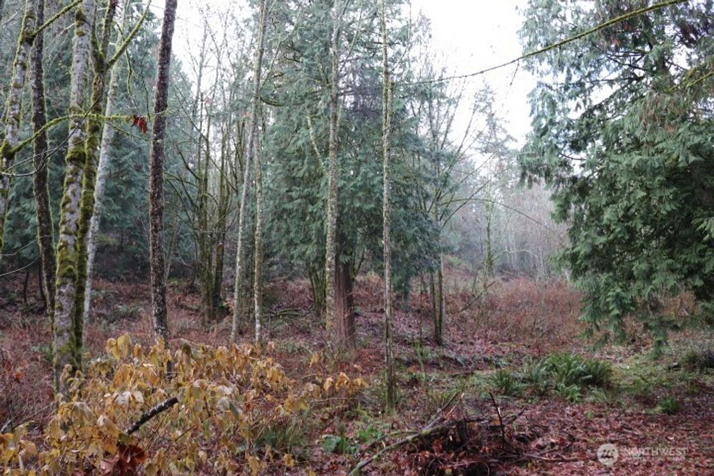 Photo of 18700 SE 64TH Way, Issaquah, WA 98027 (MLS # 2492179)