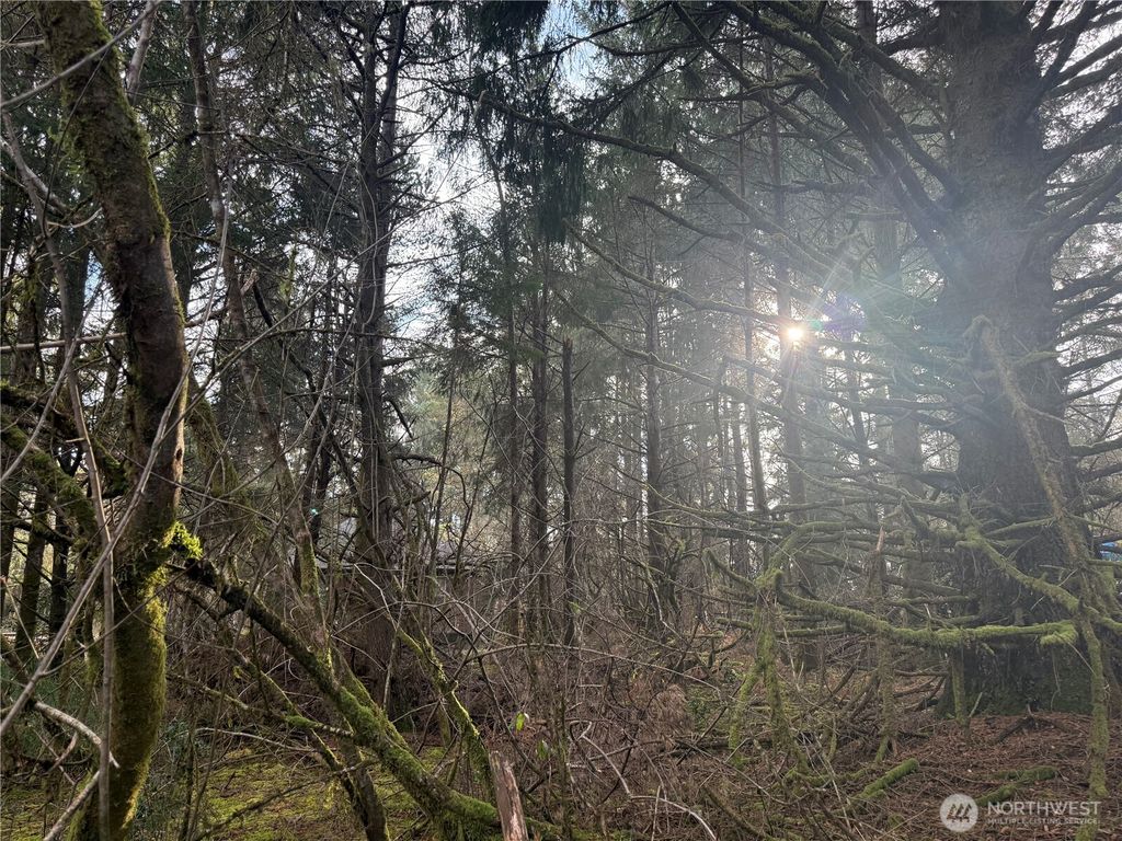 Photo of 142 XXX 142nd Lane, Long Beach, WA 98631 (MLS # 2492787)