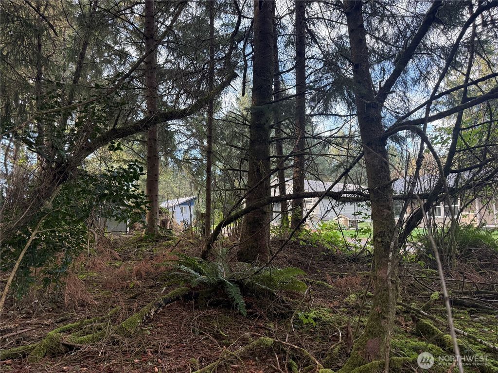 Photo of 142 XXX 142nd Lane, Long Beach, WA 98631 (MLS # 2492787)