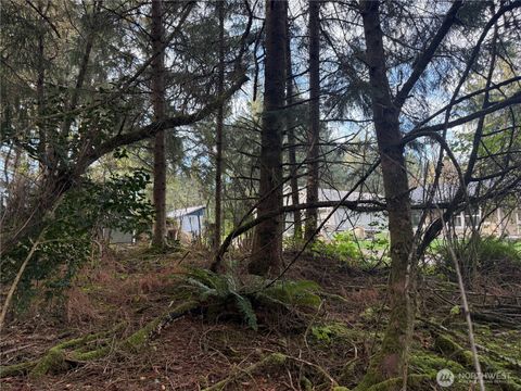 Photo of 142 XXX 142nd Lane, Long Beach, WA 98631 (MLS # 2492787)
