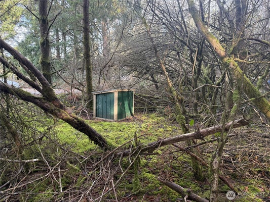 142ND LN, LONG BEACH, WA 98631 - Image ef42c3fa63f0deca742876e8e4e62f3f/3945816643