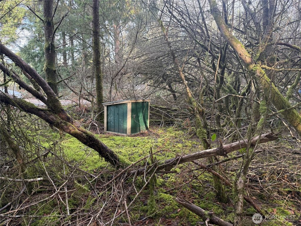 Photo of 142 XXX 142nd Lane, Long Beach, WA 98631 (MLS # 2492787)