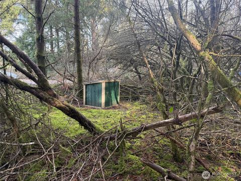 Photo of 142 XXX 142nd Lane, Long Beach, WA 98631 (MLS # 2492787)