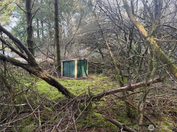 142 142nd Lane Long Beach WA 98631