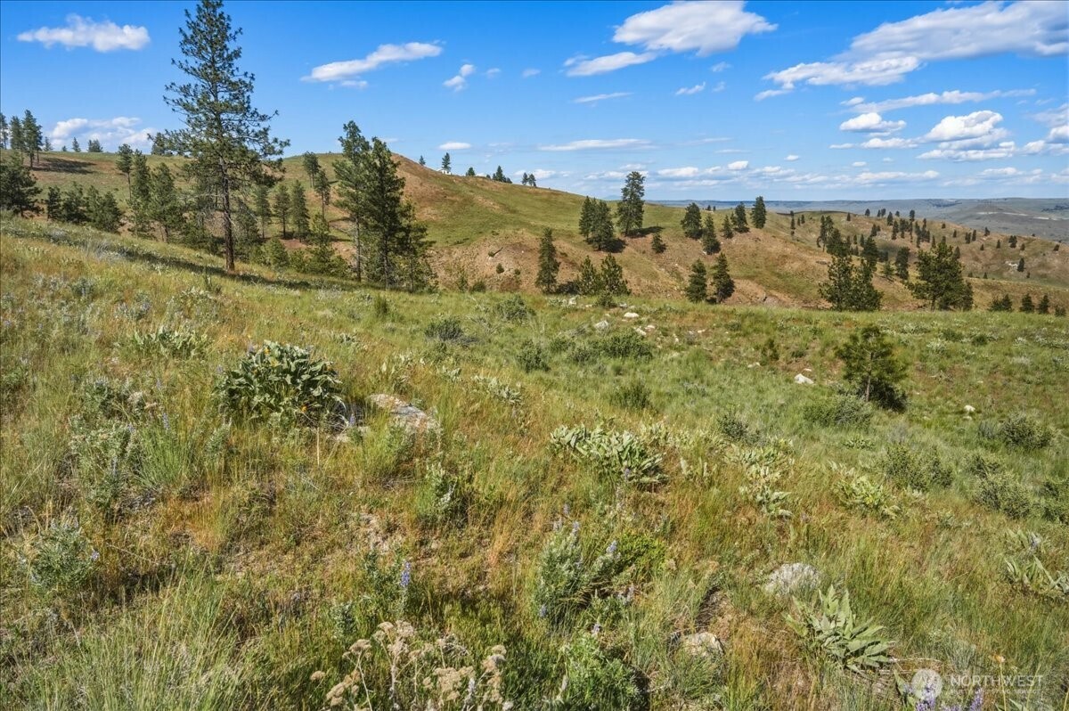 6575 Union Valley Road
