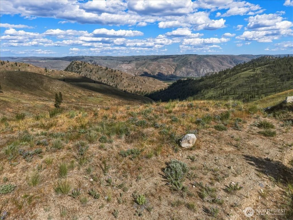 Photo of 6575 Union Valley Road, Chelan, WA 98816 (MLS # 2528871)