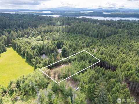 Photo of 160 Elin Lane, Shelton, WA 98584 (MLS # 2380351)