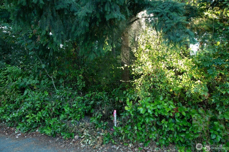 1111 1st Avenue NE