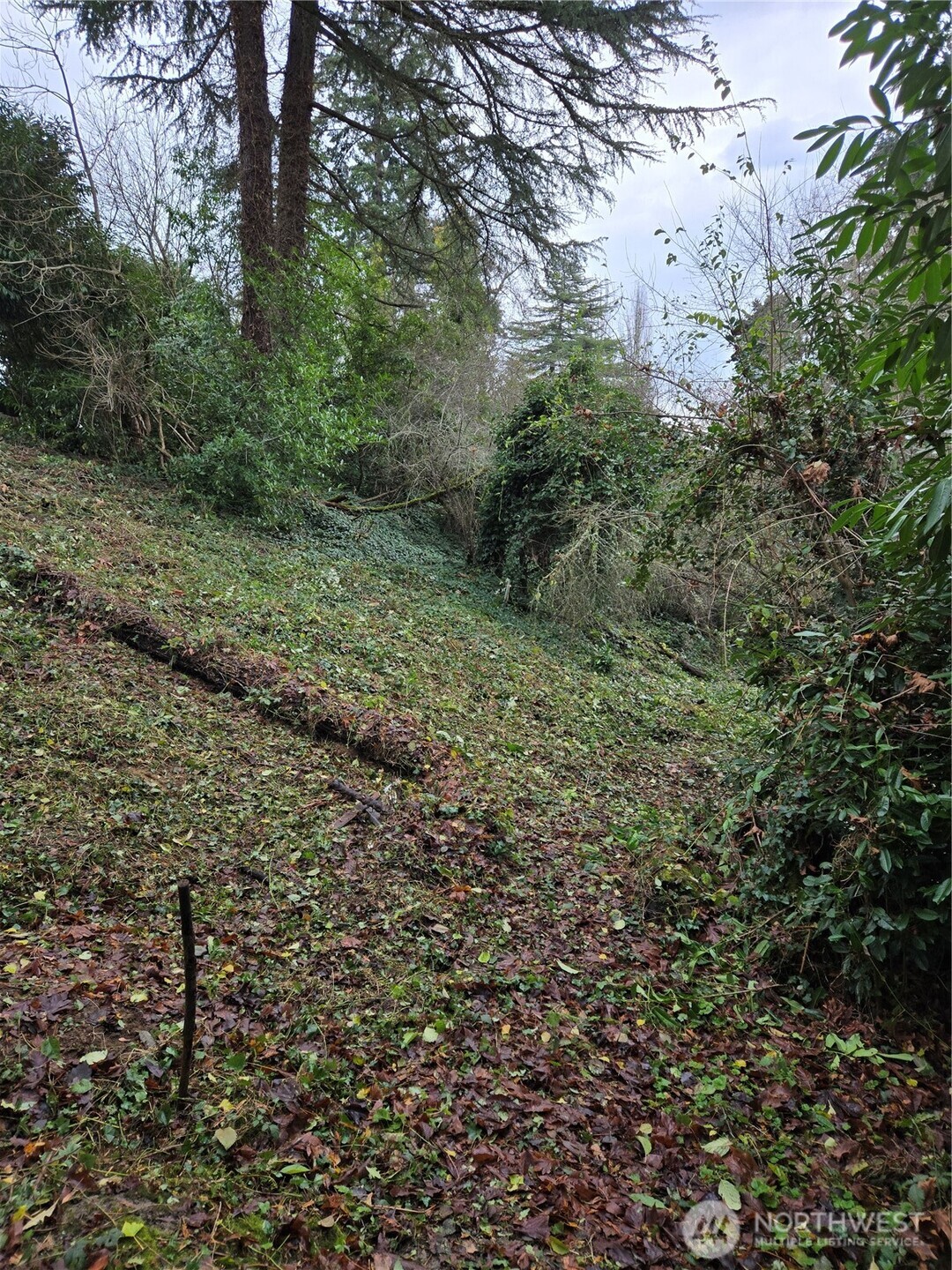 14014 41st Avenue NE