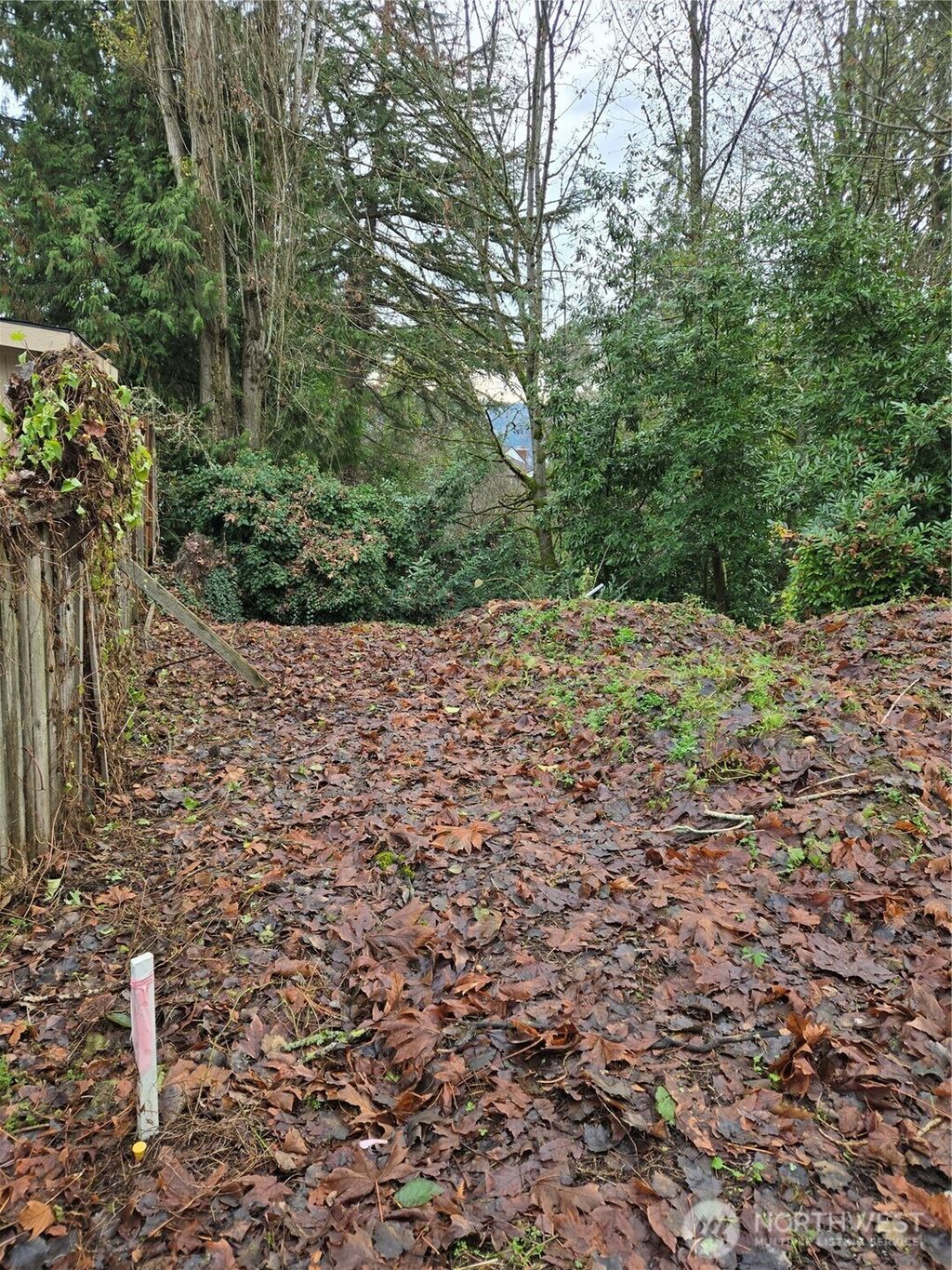 Photo of 14014 41st Avenue NE, Seattle, WA 98125 (MLS # 2476356)