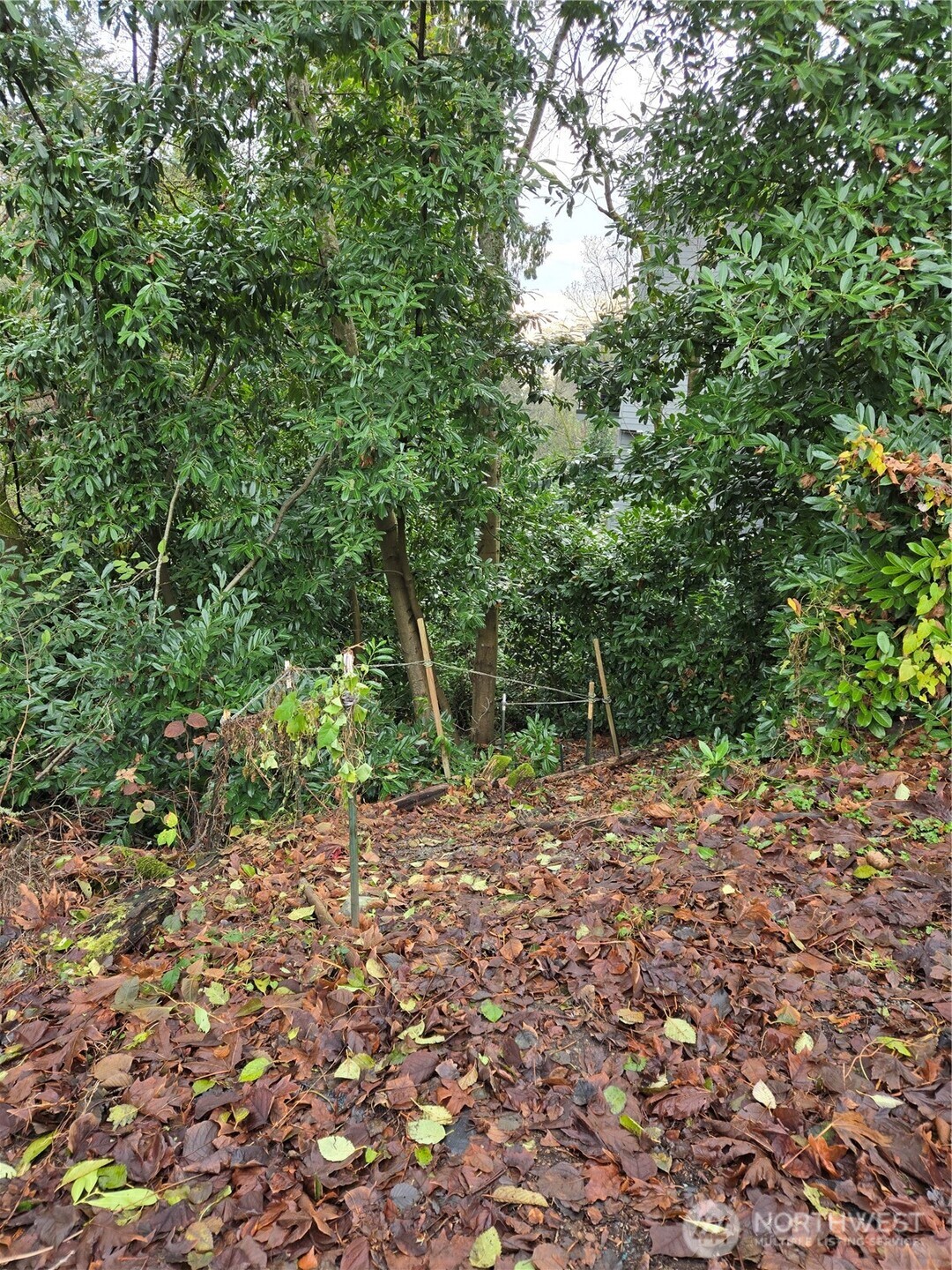 14014 41st Avenue NE