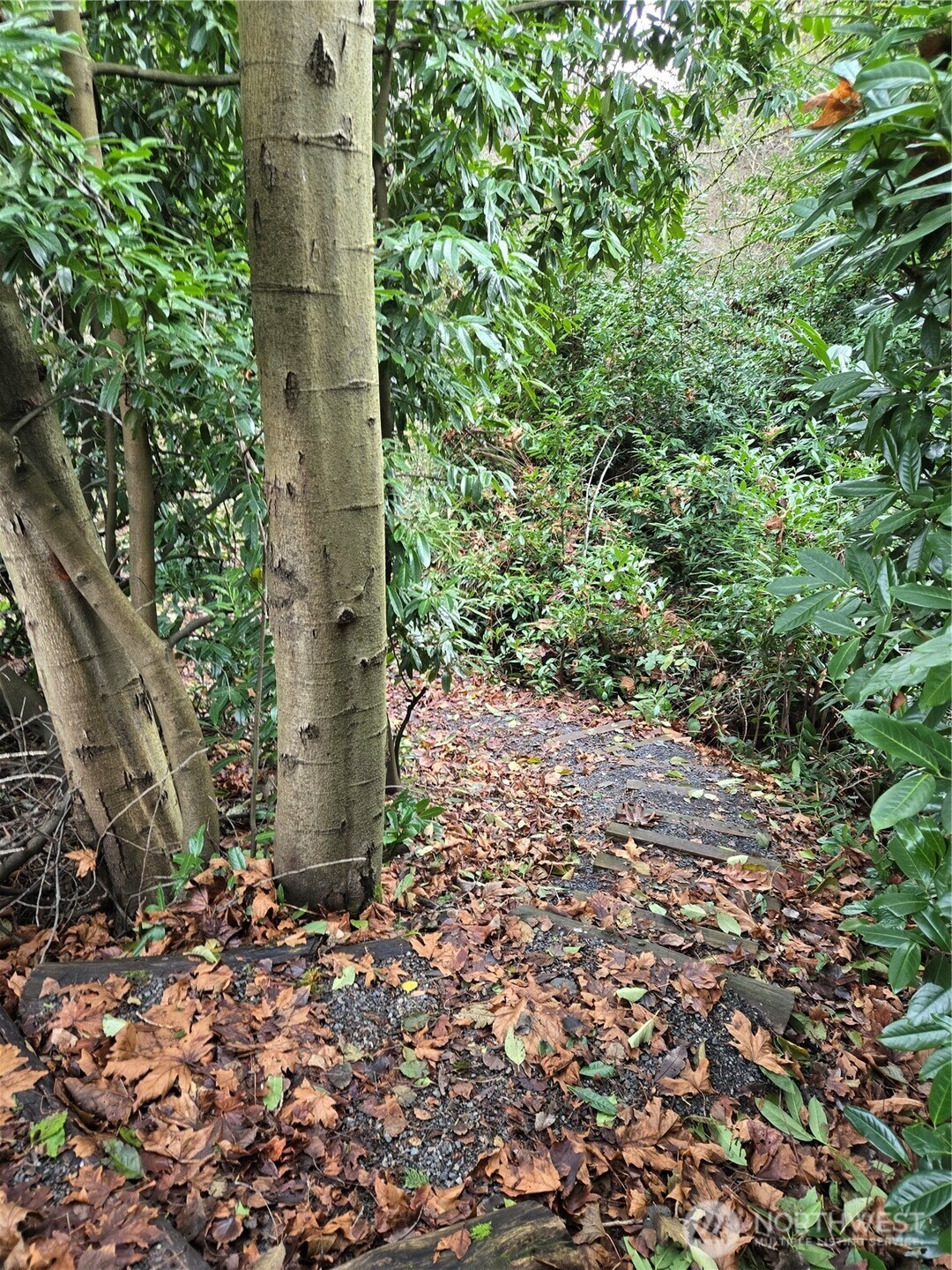 14014 41st Avenue NE