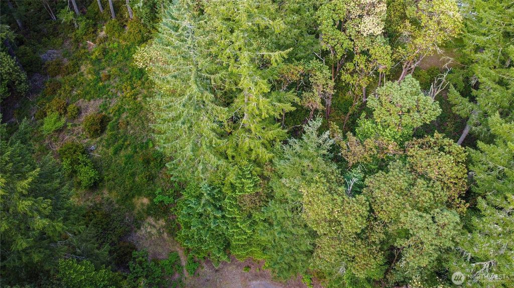 Photo of 12027 Country Club Drive DR, Anderson Island, WA 98303 (MLS # 2517378)