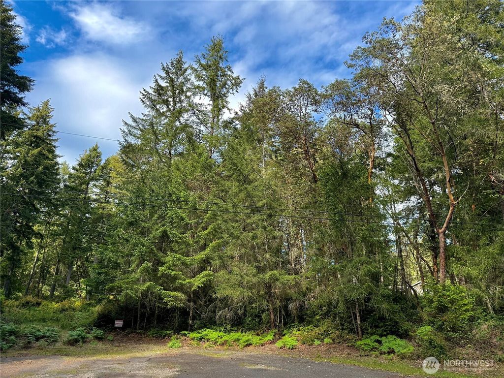 Photo of 12027 Country Club Drive DR, Anderson Island, WA 98303 (MLS # 2517378)