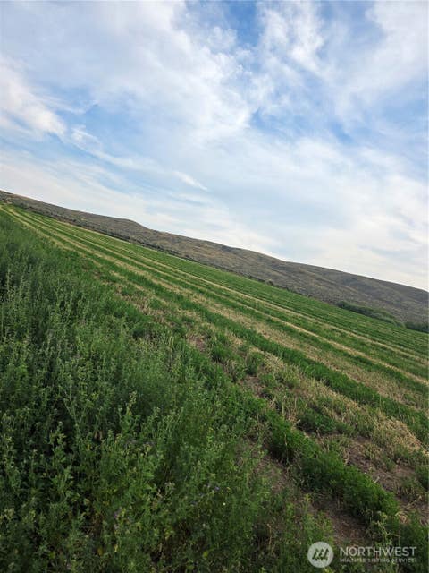 Photo of 2 Borland, Ellensburg, WA 98926 (MLS # 2540267)
