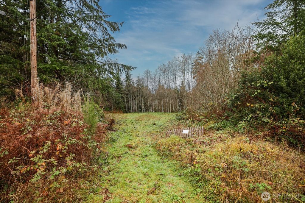 Photo of 124 Old Hill Road, Aberdeen, WA 98520 (MLS # 2458413)