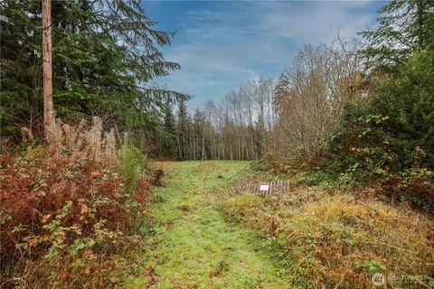 Photo of 124 Old Hill Road, Aberdeen, WA 98520 (MLS # 2458413)