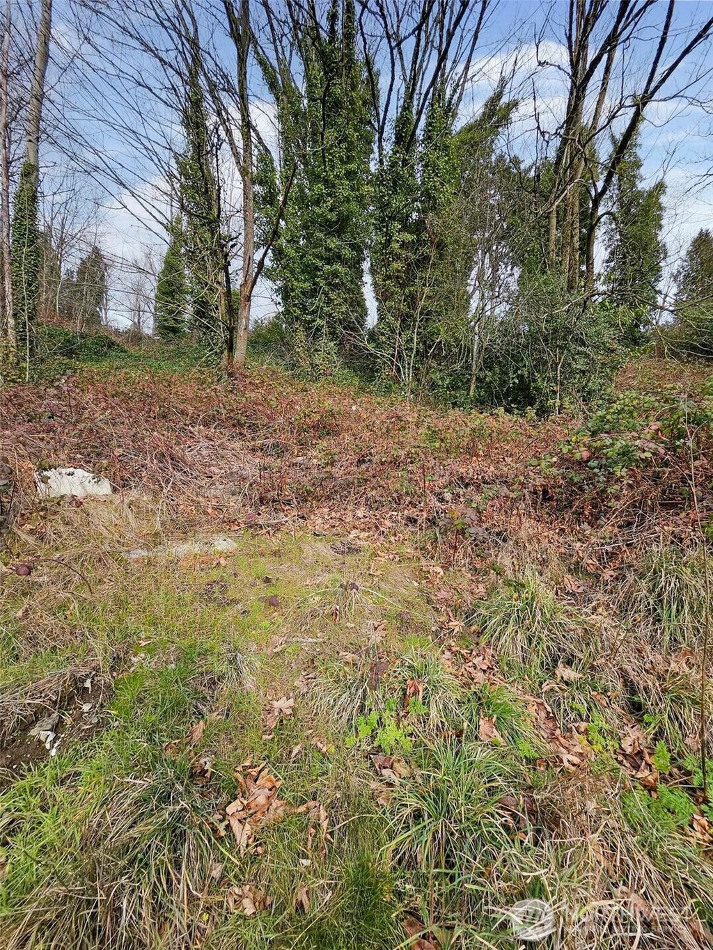 Photo of 0 Martin Luther King Jr Way S, Seattle, WA 98178 (MLS # 2336887)