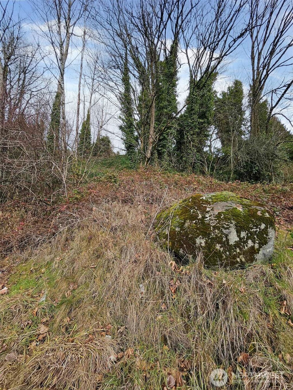 Photo of 0 Martin Luther King Jr Way S, Seattle, WA 98178 (MLS # 2336887)