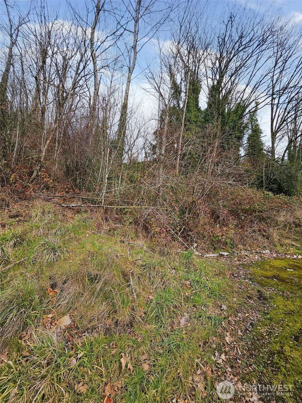 Photo of 0 Martin Luther King Jr Way S, Seattle, WA 98178 (MLS # 2336887)