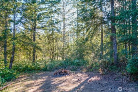 0 N Silver Lane S Hoodsport WA 98548