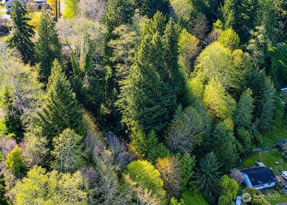 0 DUFFY STREET, ABERDEEN, WA 98520 - Image f02cd3b3bf9dac295c5893f90aaf8ea5/941138248