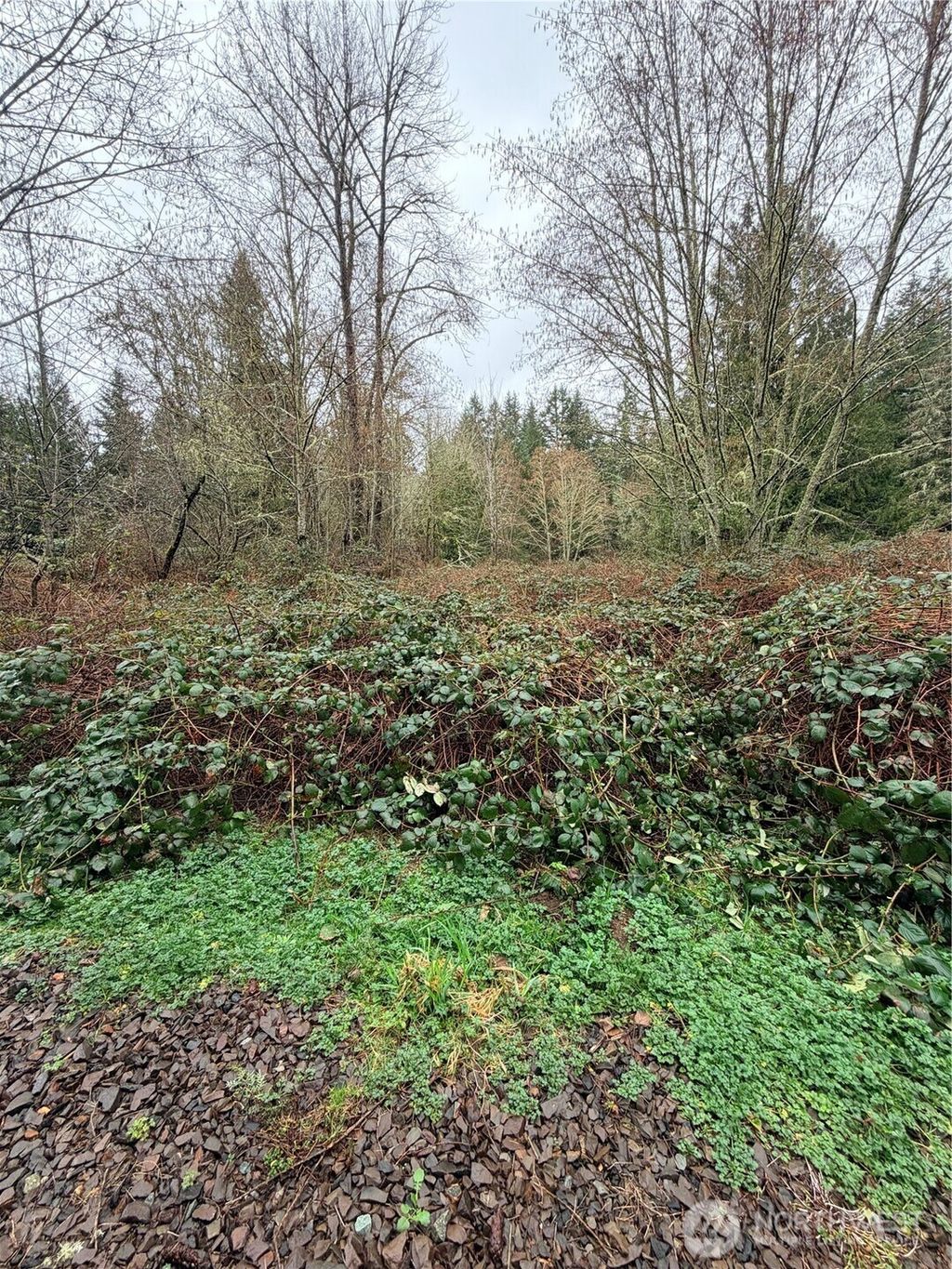 Photo of 0 xxxx 238th Avenue NE, Redmond, WA 98053 (MLS # 2526209)