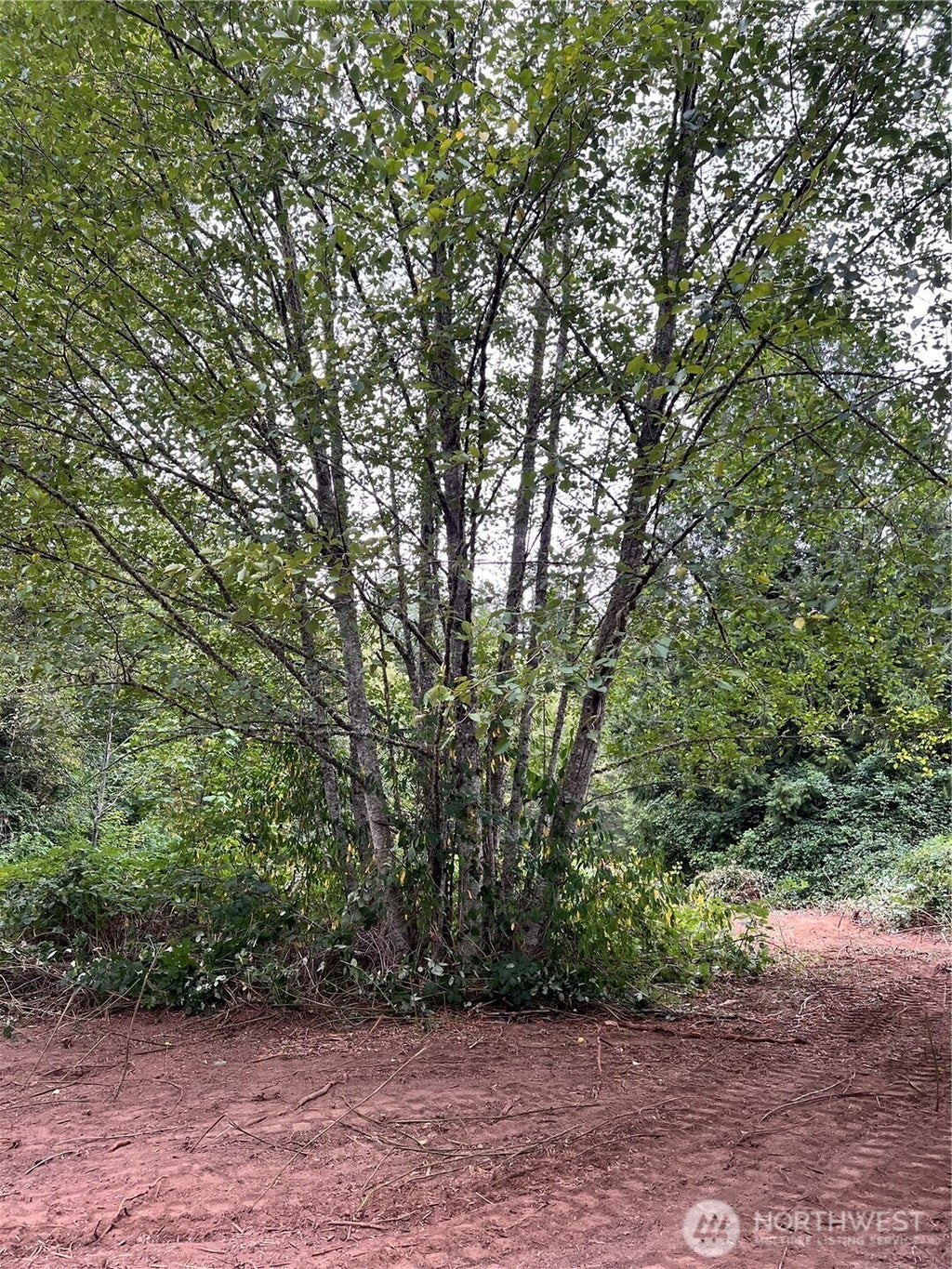 Photo of 0 xxxx 238th Avenue NE, Redmond, WA 98053 (MLS # 2526209)