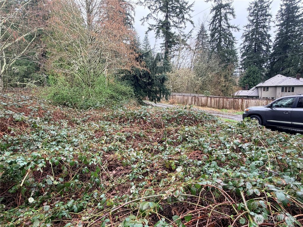 Photo of 0 xxxx 238th Avenue NE, Redmond, WA 98053 (MLS # 2526209)