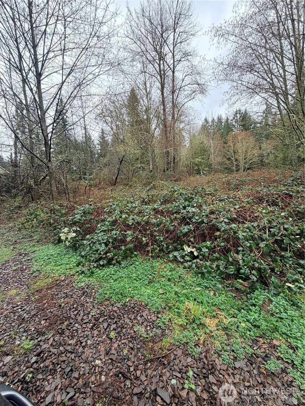 Photo of 0 xxxx 238th Avenue NE, Redmond, WA 98053 (MLS # 2526209)