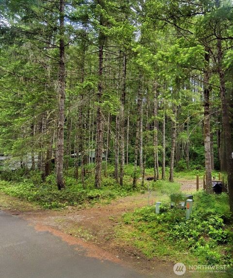 Photo of 200 N Glenwood Road, Hoodsport, WA 98548 (MLS # 2484717)