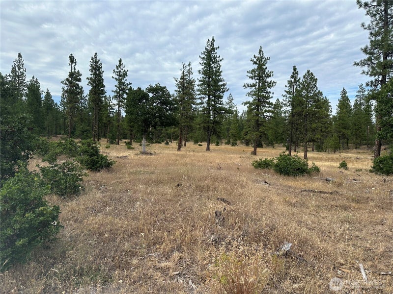 0 Greyback Mt Road