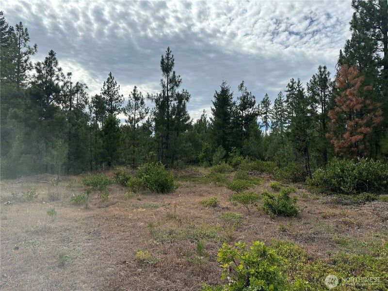 0 Greyback Mt Road