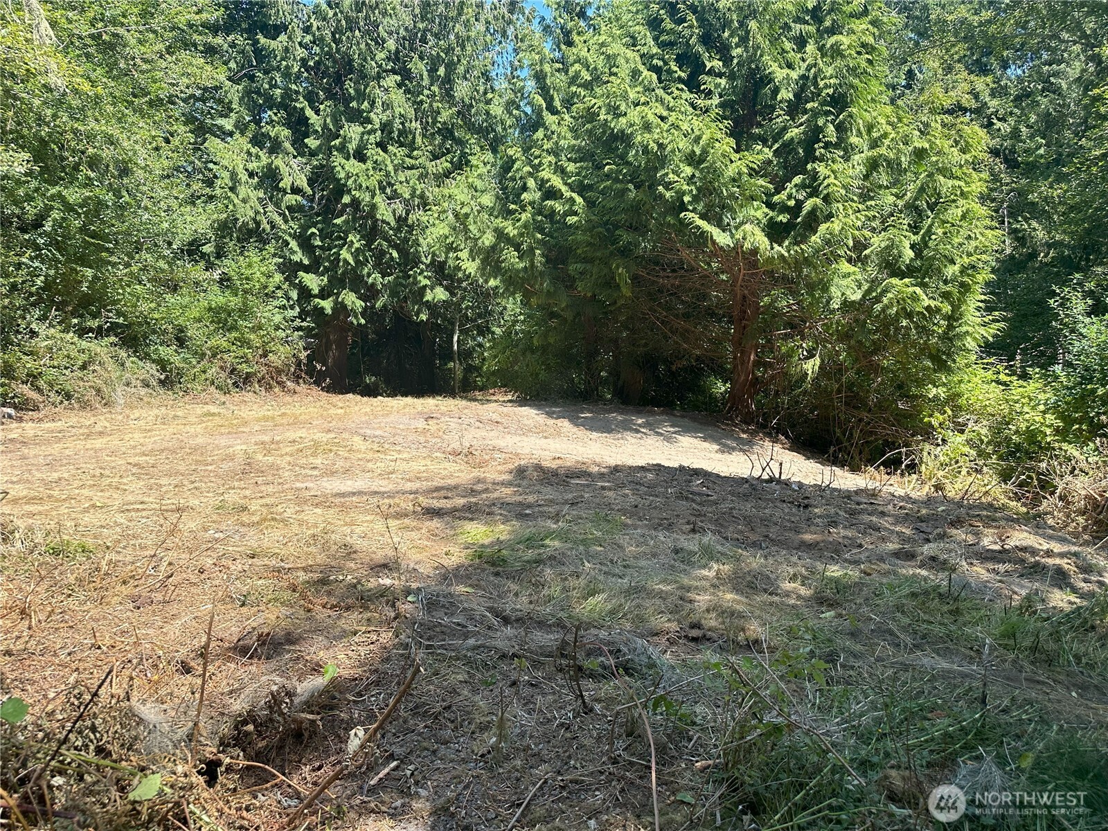 8888 Harrington Drive