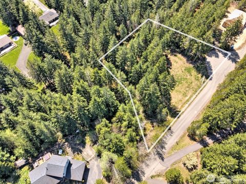 Photo of 161 E Lexington Place, Shelton, WA 98584 (MLS # 2332417)