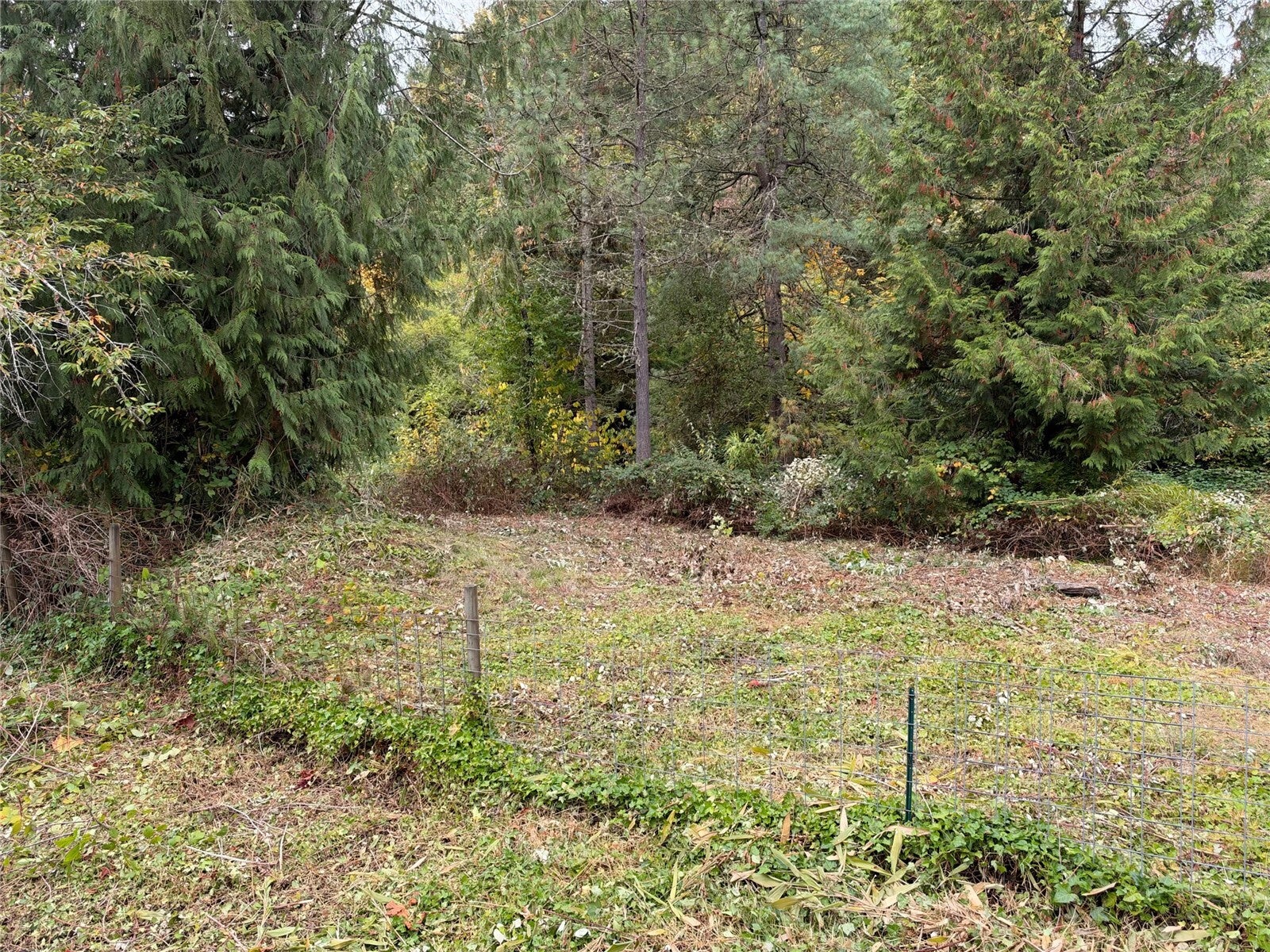 25426 SE 359th st Street