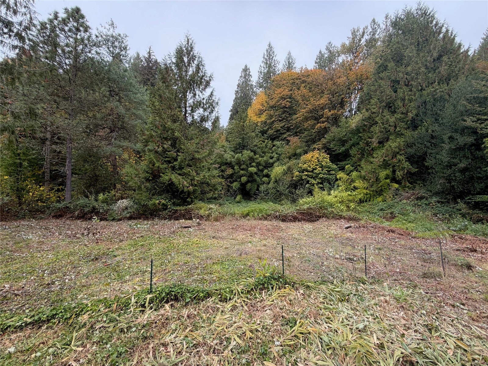 25426 SE 359th st Street