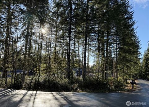 Photo of 0 Blackberry Lane, Union, WA 98592 (MLS # 2512340)