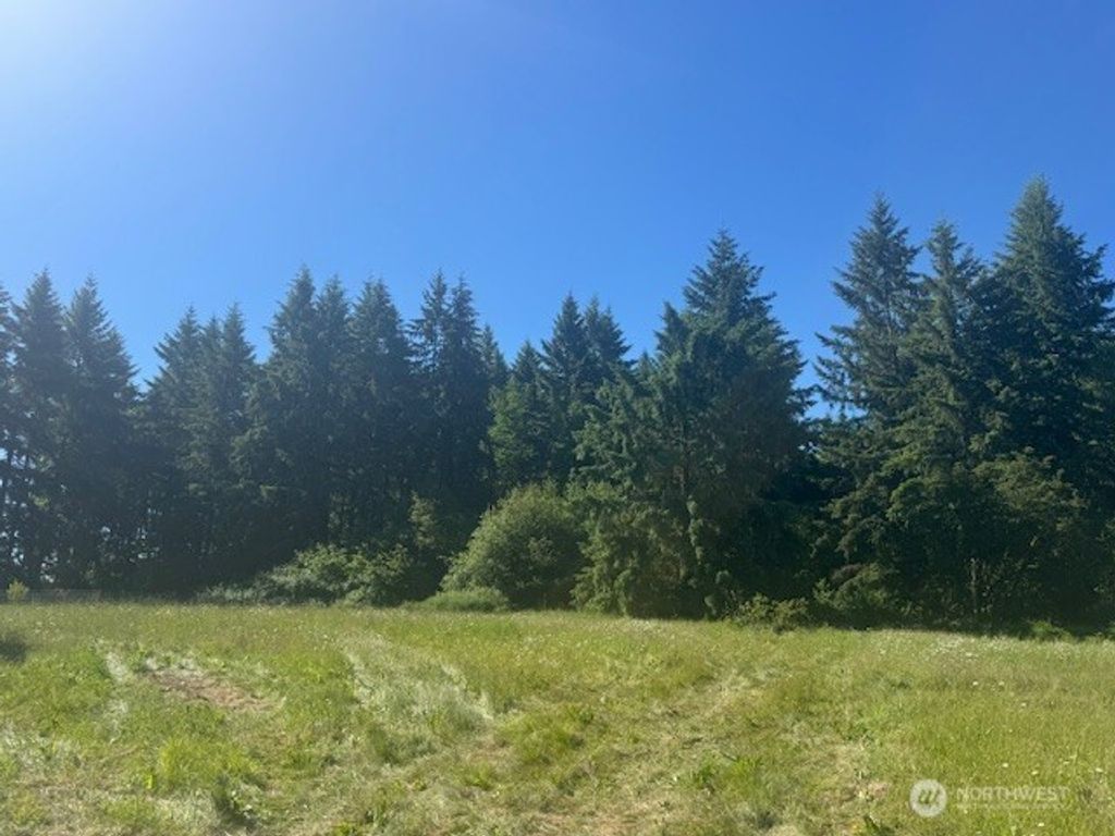 Photo of 692 24 Burchett Road, Onalaska, WA 98570 (MLS # 2532837)
