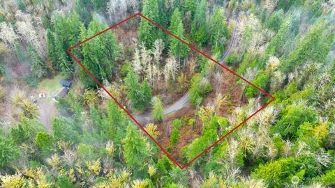 453 Rice Lake Road Quilcene WA 98376