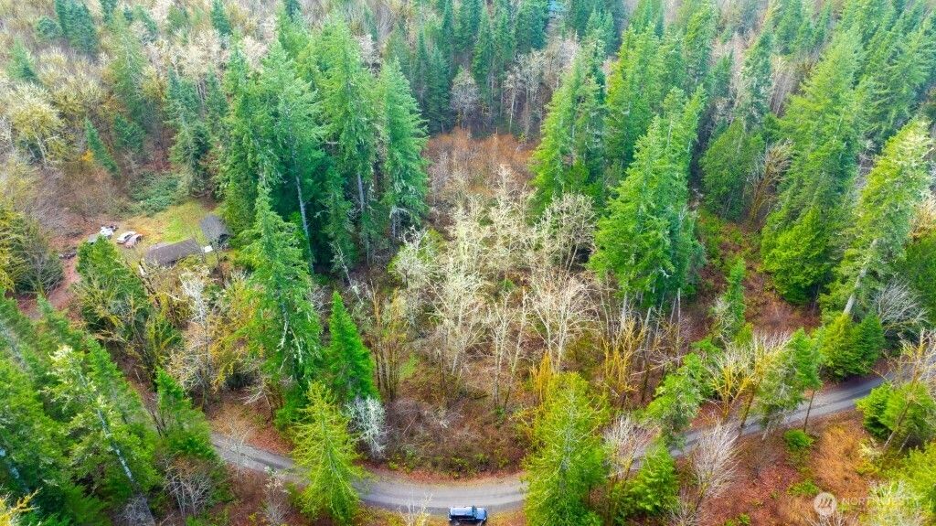 Photo of 453 Rice Lake Road, Quilcene, WA 98376 (MLS # 2463426)