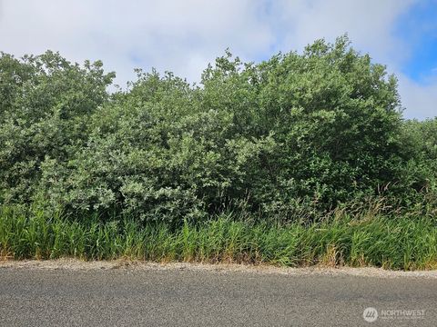 Photo of 3607 102nd Street, Long Beach, WA 98631 (MLS # 2407414)