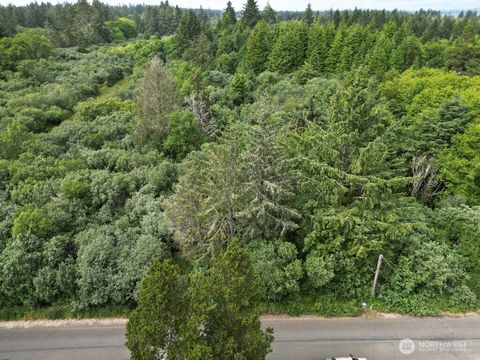 Photo of 3607 102nd Street, Long Beach, WA 98631 (MLS # 2407414)