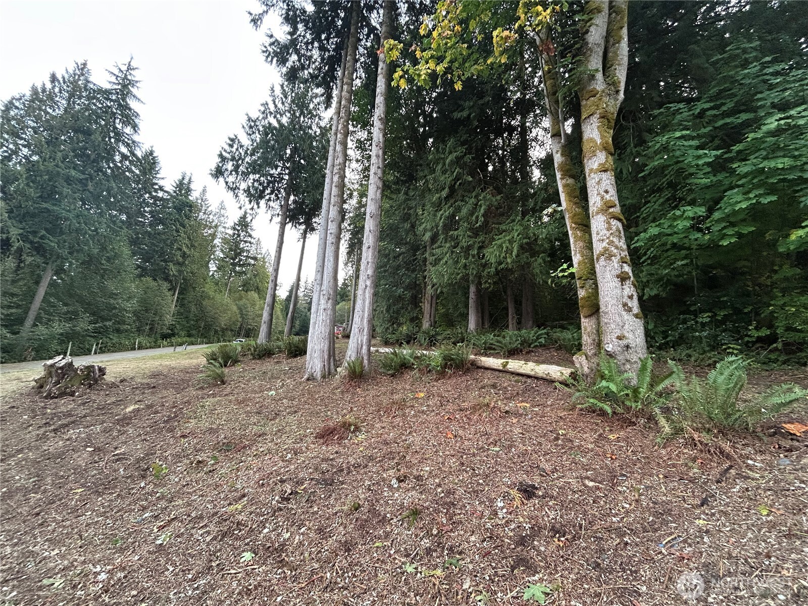 715 Samish Heights Lane